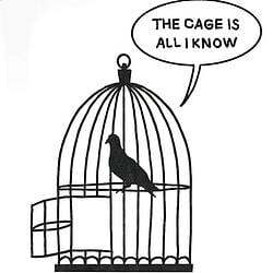 The cage is all I kn...